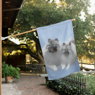 Keeshond Pair of Kees Painting Original Animal Art House Flag