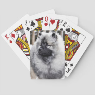 Keeshond Playing Cards