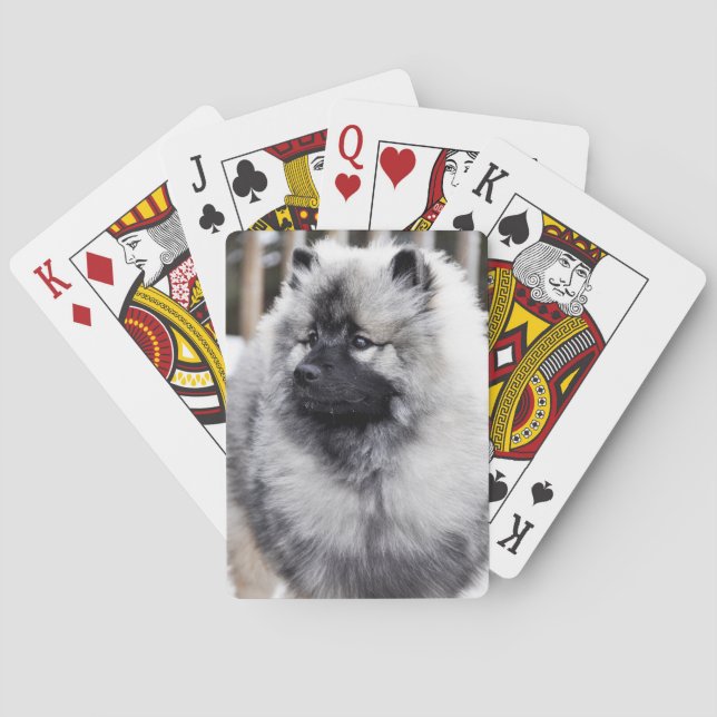 Keeshond Playing Cards (Back)