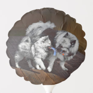 Keeshond Playtime Painting - Cute Original Dog Art Balloon