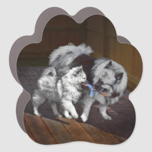 Keeshond Playtime Painting - Cute Original Dog Art Car Magnet