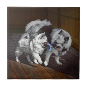 Keeshond Playtime Painting - Cute Original Dog Art Ceramic Tile