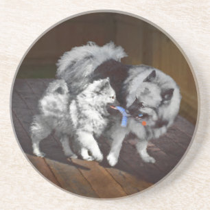Keeshond Playtime Painting - Cute Original Dog Art Drink Coaster
