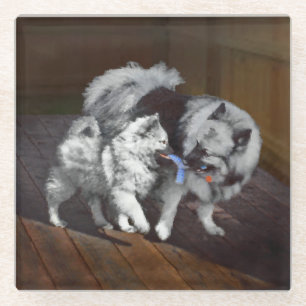 Keeshond Playtime Painting - Cute Original Dog Art Glass Coaster