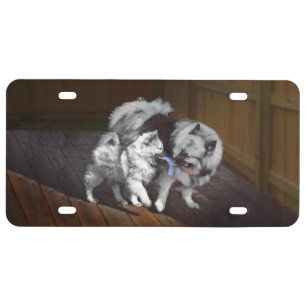 Keeshond Playtime Painting - Cute Original Dog Art License Plate
