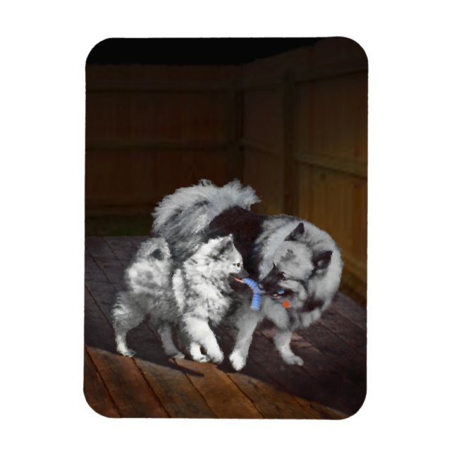 Keeshond Playtime Painting - Cute Original Dog Art Magnet (Vertical)