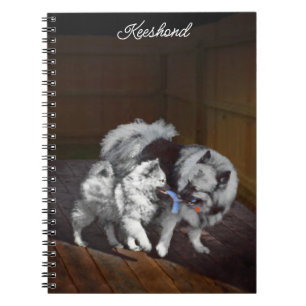 Keeshond Playtime Painting - Cute Original Dog Art Notebook