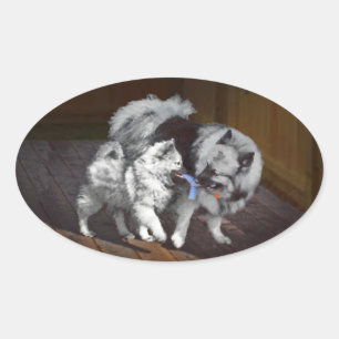 Keeshond Playtime Painting - Cute Original Dog Art Oval Sticker
