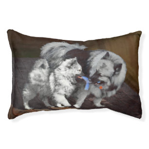 Keeshond Playtime Painting - Cute Original Dog Art Pet Bed