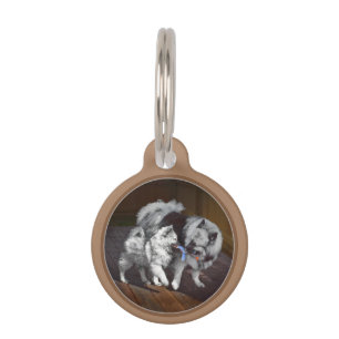 Keeshond Playtime Painting - Cute Original Dog Art Pet ID Tag