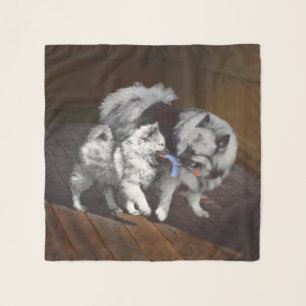 Keeshond Playtime Painting - Cute Original Dog Art Scarf