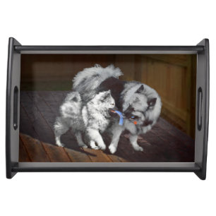 Keeshond Playtime Painting - Cute Original Dog Art Serving Tray