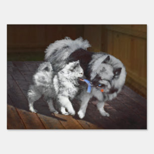 Keeshond Playtime Painting - Cute Original Dog Art Yard Sign