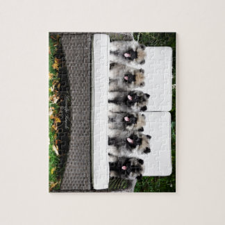 Keeshond puppies jigsaw puzzle