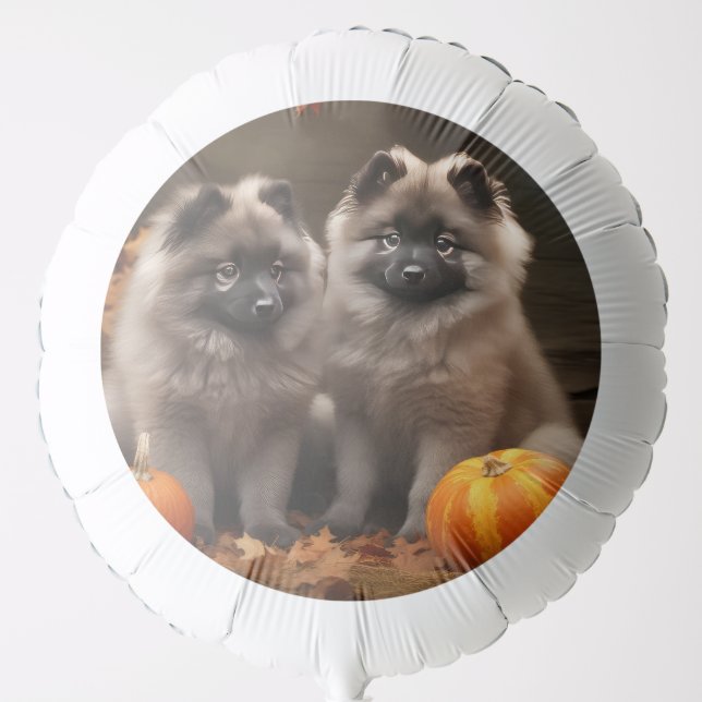 Keeshond Puppy Autumn Delight Pumpkin Balloon (Front)