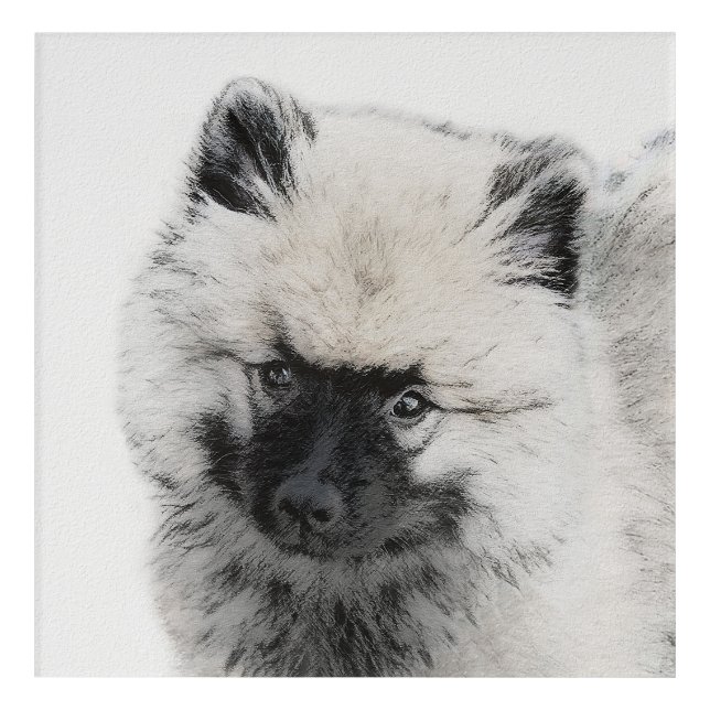 Keeshond Puppy Drawing - Cute Original Dog Art (Front)