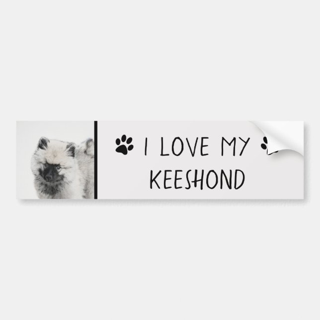 Keeshond Puppy Drawing - Cute Original Dog Art Bumper Sticker (Front)
