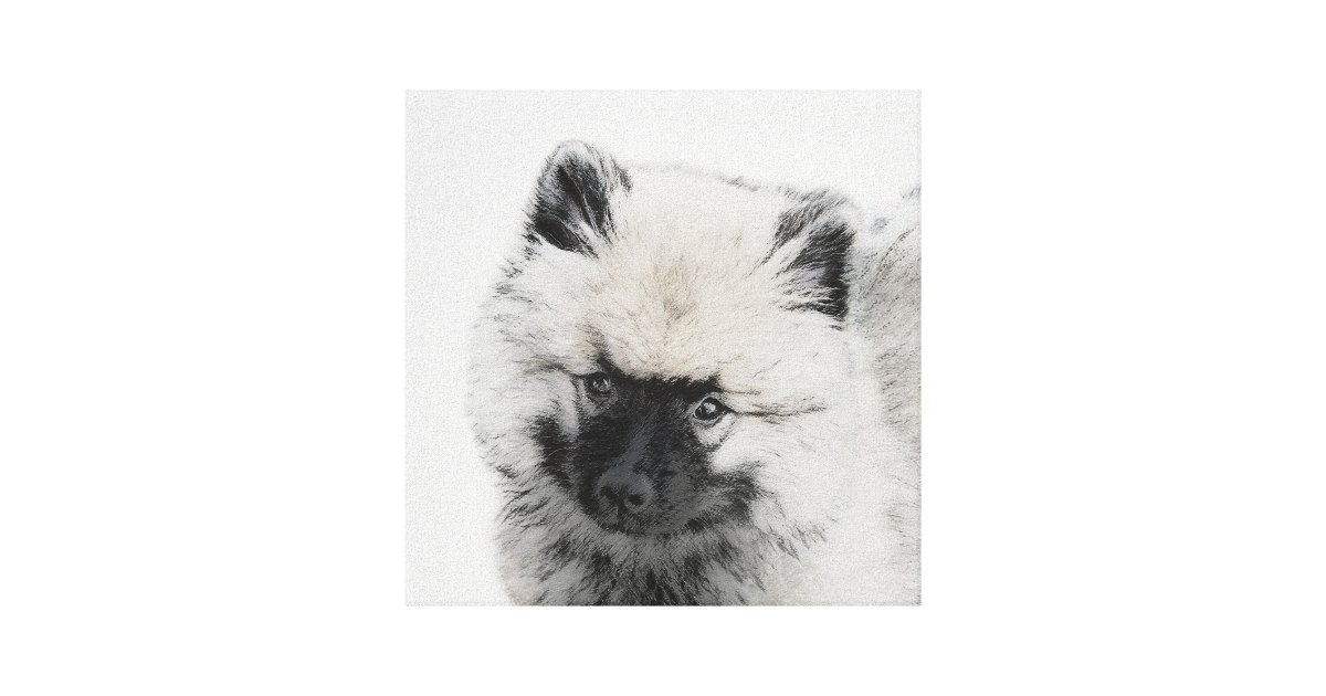 are white keeshond dog good with cats