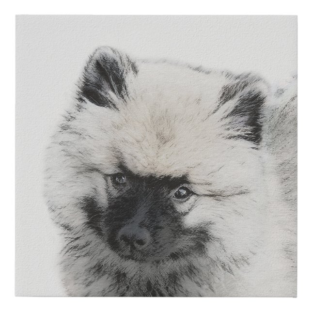 Keeshond Puppy Drawing - Cute Original Dog Art Faux Canvas Print (Front)