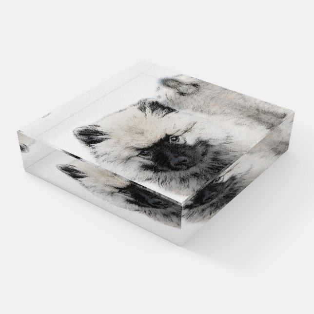 Keeshond Puppy Drawing - Cute Original Dog Art Paperweight (Angled)