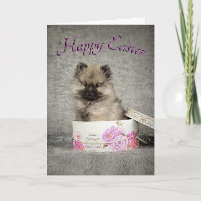 Keeshond Puppy Easter Card (Front)