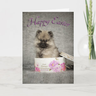 Keeshond Puppy Easter Card