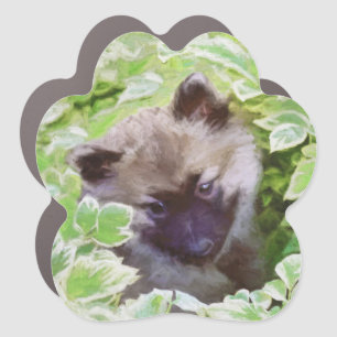 Keeshond Puppy in the Garden Painting Original Art Car Magnet