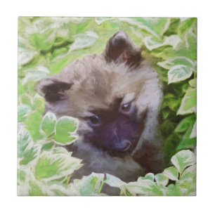 Keeshond Puppy in the Garden Painting Original Art Ceramic Tile