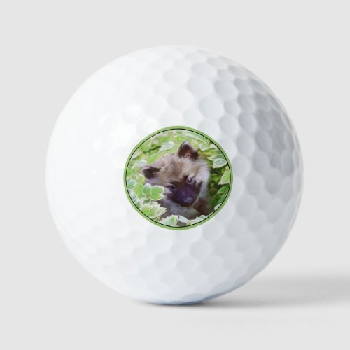 Keeshond Puppy in the Garden Painting Original Art Golf Balls