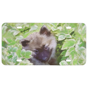 Keeshond Puppy in the Garden Painting Original Art License Plate