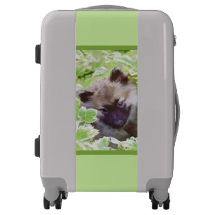 Keeshond Puppy in the Garden Painting Original Art Luggage