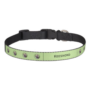 Keeshond Puppy in the Garden Painting Original Art Pet Collar