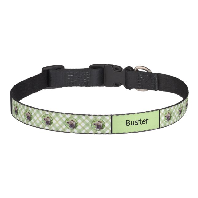 Keeshond Puppy in the Garden Painting Original Art Pet Collar (Front)