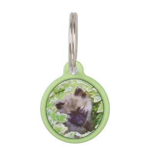 Keeshond Puppy in the Garden Painting Original Art Pet ID Tag