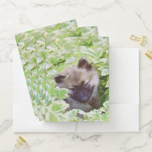 Keeshond Puppy in the Garden Painting Original Art Pocket Folder