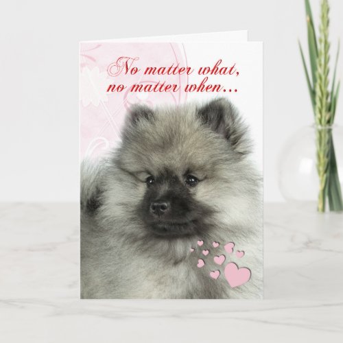 Keeshond Puppy Valentine Holiday Card