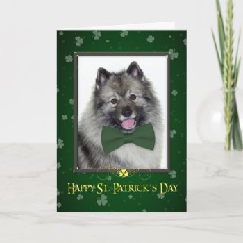 Keeshond St. Patrick's Day Card by ForLoveofDogs at Zazzle