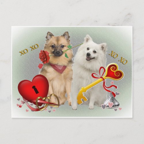 Keeshond Valentine Twosome Cards