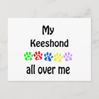 Keeshond Walks Design Postcard