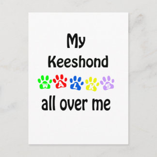 Keeshond Walks Design Postcard
