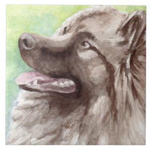 Keeshond Watercolor Portrait Ceramic Tile