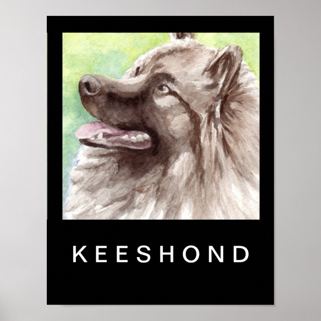 Keeshond Watercolor Portrait Poster (Front)