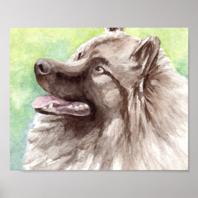 Keeshond Watercolor Portrait Poster (Front)