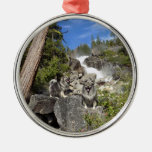 Keeshond Waterfall Ornament