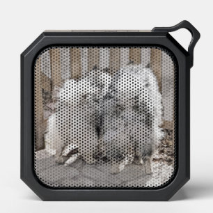 Keeshonds at the Gate Painting - Original Dog Art Bluetooth Speaker