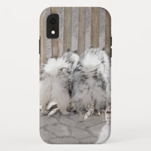 Keeshonds at the Gate Painting - Original Dog Art iPhone XR Case