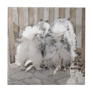 Keeshonds at the Gate Painting - Original Dog Art Ceramic Tile