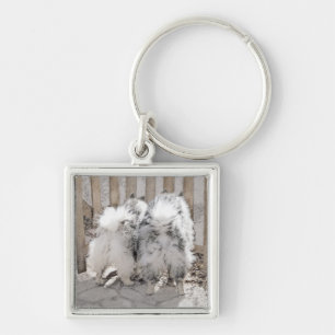 Keeshonds at the Gate Painting - Original Dog Art Keychain
