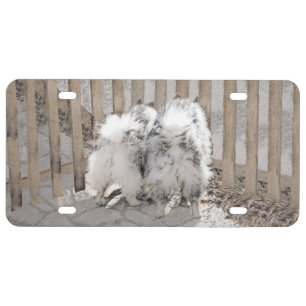 Keeshonds at the Gate Painting - Original Dog Art License Plate