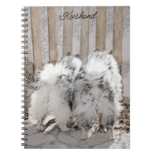 Keeshonds at the Gate Painting - Original Dog Art Notebook